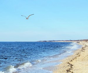 12 Hidden Beach Gems Along the Jersey Shore Sunset Beach offers beautiful views, a chance to hunt Cape May diamonds, and a slice of history. Photo courtesy of Cape May Beaches