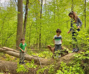 Wander one of the many kid-friendly trails in Westchester for a lovely spring break hike. 