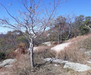 Bear Mountain State Park Westchester winter walks