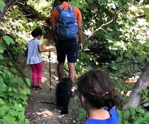 Hit the hiking trails on a visit to Bear Mountain State Park with kids