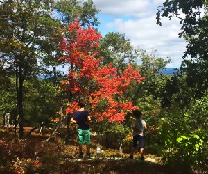 Bear Mountain offers a great first hike for kids. Photo by Anne Grego