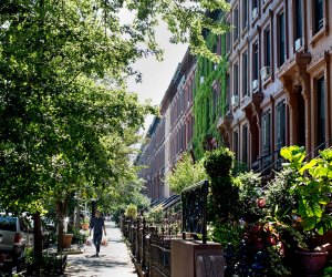 Stroll the streets of this picturesque neighborhood lined with beautiful brownstones. Photo courtesy of Gates Condos 