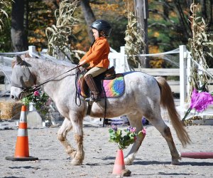 Horseback riding offers natural social distancing and is always outdoors! Photo courtesy Beech Hill Farm