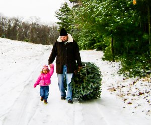 Photo of parent and Child walking at a Christmas tree farm near Boston.