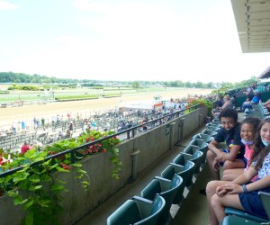 Belmont Park, NY: View from the grandstands
