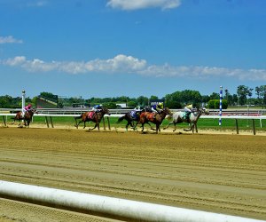 horse racing at Belmont Park 