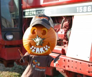 Best Pumpkin Patches Near Chicago