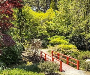 Image of Berkshire Botanical Garden - Fall Day Trips from CT