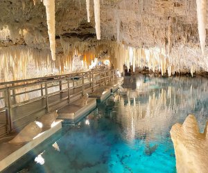 Top 15 What to do in bermuda 4 Bermuda with Kids: 25 Best Things To Do in Bermuda