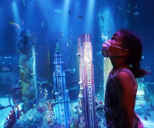 Gaze into the City Under the Sea at Sea Life Aquarium, one of our favorite kid-friendly openings in New Jersey in 2021. Photo by Jody Mercier