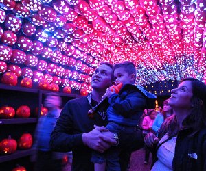 Book your tickets now if you want to see the annual spectacle that is The Great Jack O'Lantern Blaze at Van Cortlandt Manor. Photo courtesy of the Historic Hudson Valley