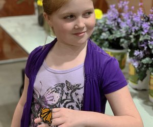 Get a taste of summer inside the Super Pet Expo's butterfly experience, and get tons more care tips for your own pets. Photo courtesy of the event