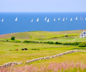 Explore Block Island on a summer day trip