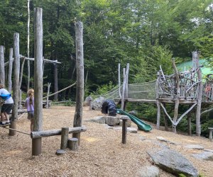 Squam Lakes Natural Science Center New Hampshire is a Hidden Gem for Kids