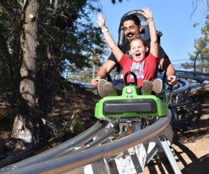 Best Things To Do with Kids in Lake Arrowhead: Alpine Slide Big Bear