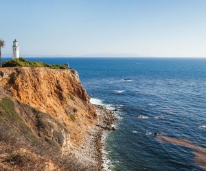 Whale Watching near Los Angeles: Landlubber Vantage Points 