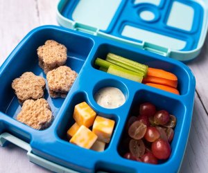 Back to School with Zero Waste: 5 Tips for an Eco-Friendly Lunch