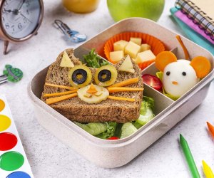 Ramen Cat Bento Lunch Box kids back to school meal prep kitchen home cute  funny