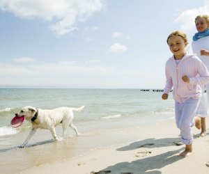 Dog-Friendly Beaches Near Los Angeles: Head a little further to San Deigo or Santa Barbara County