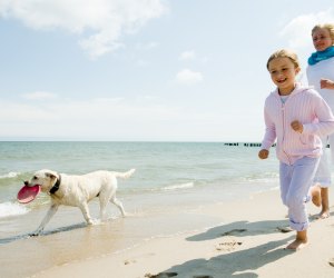Places To Beat the Heat in Los Angeles: Dog-Friendly Beaches