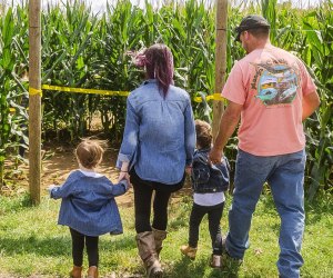 Photo of family entering a corn maze - Corn Mazes in Connecticut