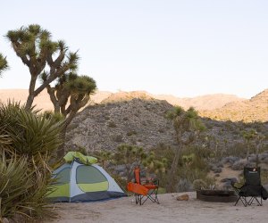  Joshua Tree Airbnbs, Hotels, and Campgrounds for Families: Black Rock Campground