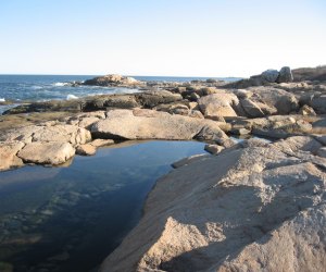 Image of tide pools next to the ocean in Narragansett, RI.