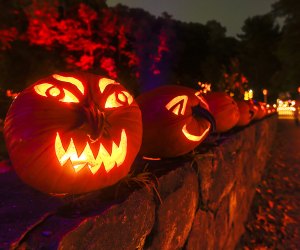 The Great Jack-o'-Lantern Blaze returns to Van Cortlandt Manor for its 20th anniversary season.