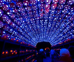 Tour the Great Jack O'Lantern Blaze, an annual rite of fall. Courtesy Historic Hudson Valley