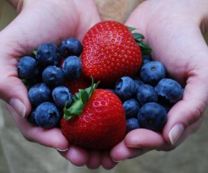 Fill your kitchen with pick-your-own strawberries and more from Blessington Farms