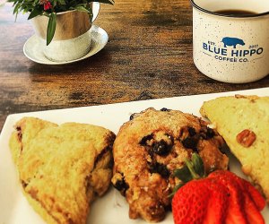 Breakfast pastries at The Blue Hippo Coffee Co. in Verona, New Jersey