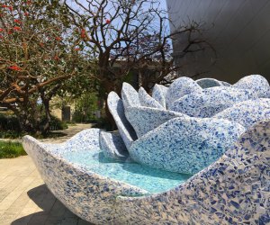 Botanical Gardens in Los Angeles: Blue Ribbon Garden in DTLA