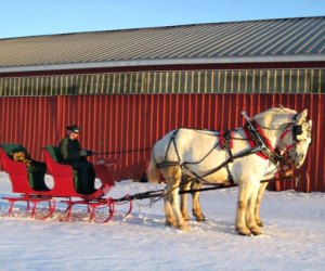 Take a horse-drawn wagon ride across the snowy fields. Photo courtesy of Blue Slope Country Museum 