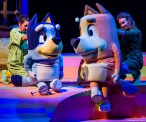 Bluey takes the stage this May 2024 in Boston! Bluey's Big Play The Stage Show production photo by Darren Thomas