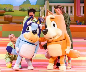 Bluey's Big Play The Stage Show Coming to Wang Theatre April 7 & 8