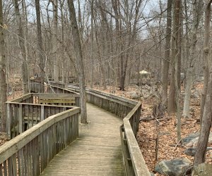 Stamford Museum & Nature Center boardwalk