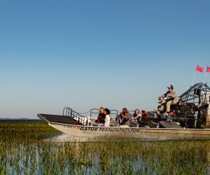 Tour the Florida Everglades aboard the coolest mode of transportation--airboat! Kids will LOVE getting close to nature on a Boggy Creek Airboat Adventures tour. Photo courtesy Visit Orlando