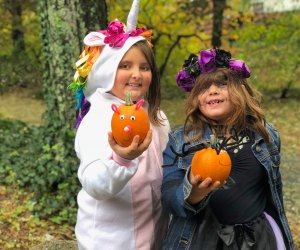 see halloween 2020 near fairfield ct Connecticut Halloween Guide In 2020 Mommypoppins Things To Do In Connecticut With Kids see halloween 2020 near fairfield ct