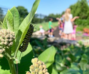 Day Trips near Chicago for Kids: Bookworm Garden