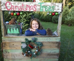 Christmas tree farms near Boston provide a magical holiday moment for families.