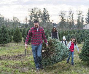 Image of family with tree - Christmas Tree Farms Near Boston