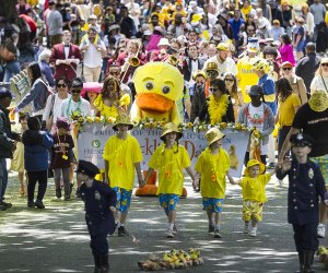 Make way for all the family fun coming to Boston in May 2025! Duckling Day event photo courtesy of Friends of the Public Garden
