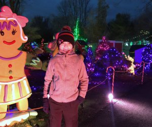 ZooLights at the Stone Zoo Boston Holiday Staycation Ideas for Christmas Break