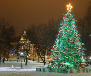The Boston Common tree lighting marks the holiday season in the city. Photo courtesy of Boston Park Plaza