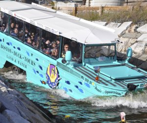 By land and by sea, you'll find so much to do in Boston! Duck Boat photo by the Massachusetts Office of Travel and Tourism