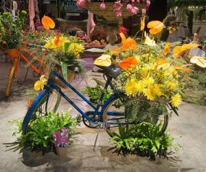 Things To Do and What's Canceled in Boston this Weekend: Flower Show, St. Patrick's Day at the Zoo, Celtic Sojourn Get a taste of spring. Photo courtesy of the Boston Flower and Garden Show