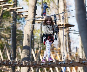 Zip-line or hit the aerial walkways at Boundless Adventures Wisconsin. Photo courtesy the park
