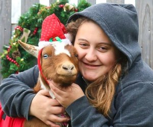 Strike a pose with a goat reindeer for this year's holiday card. Photo courtesy of Bradley Mountain Farm