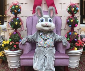 Your local mall is a great place to get Easter Bunny pictures. Photo courtesy of Dulles Town Center, Facebook