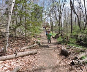 Earth Fest at Briar Bush